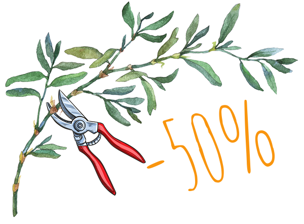 b&eacute;n&eacute;ficiez de 50% de r&eacute;duction sur nos services - Terre de Provence