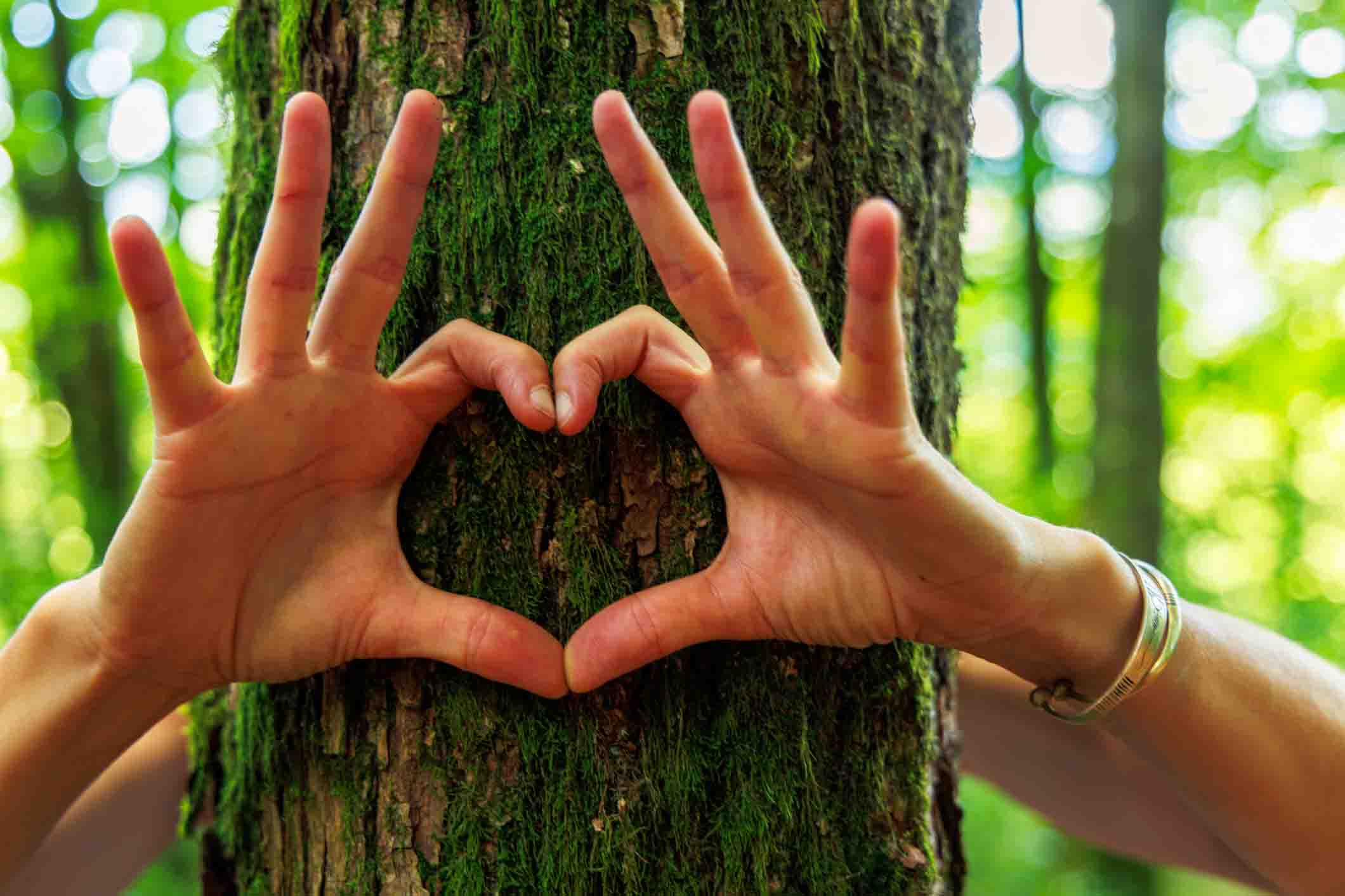 conseil du mois de ao&ucirc;t terre de provence