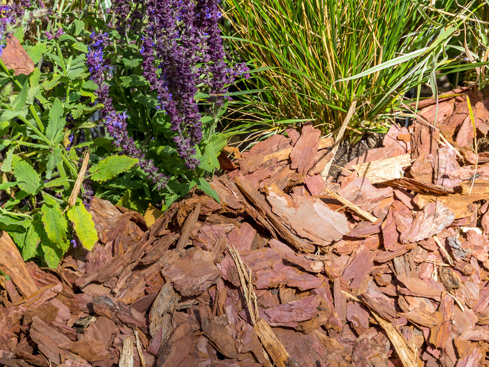 paillage v&eacute;g&eacute;tal