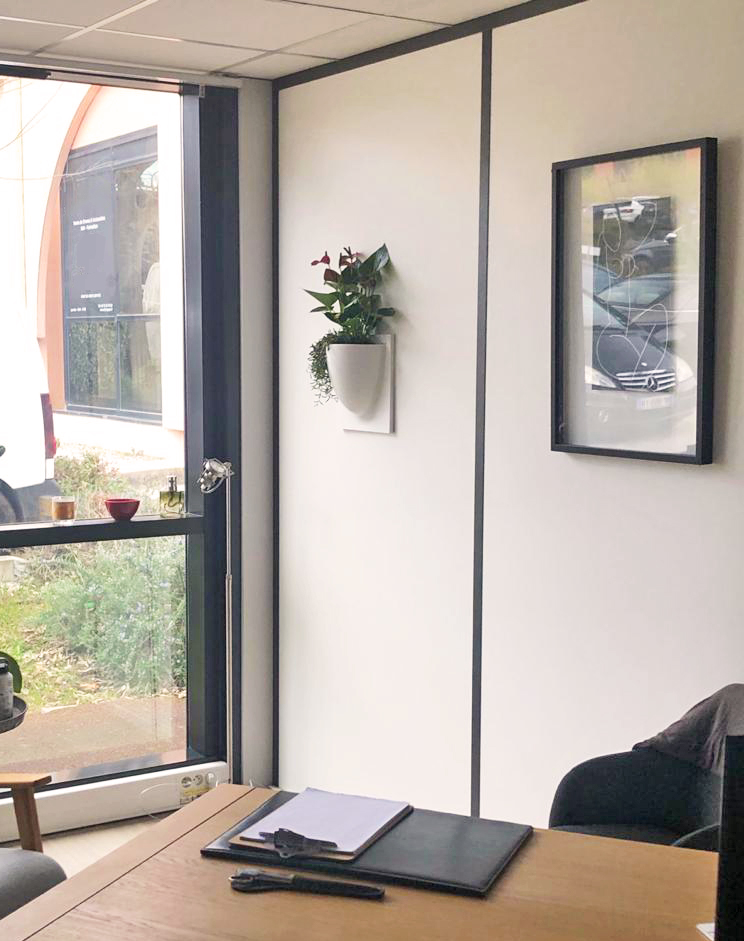 installation de plantes int&eacute;rieur sur le mur