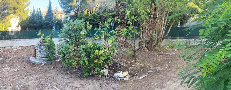 dessins num&eacute;riques d'un &eacute;tude paysag&egrave;re