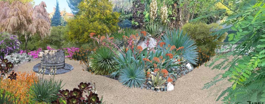 photo de jardin pour un &eacute;tude paysag&egrave;re