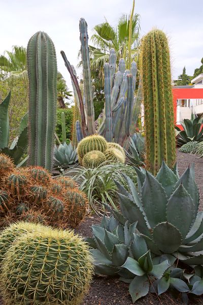 jardin-sans-entretien-mougins