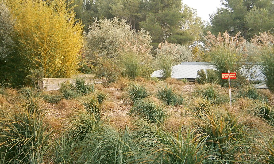 jardins-secs-prairie-terre-de-provence