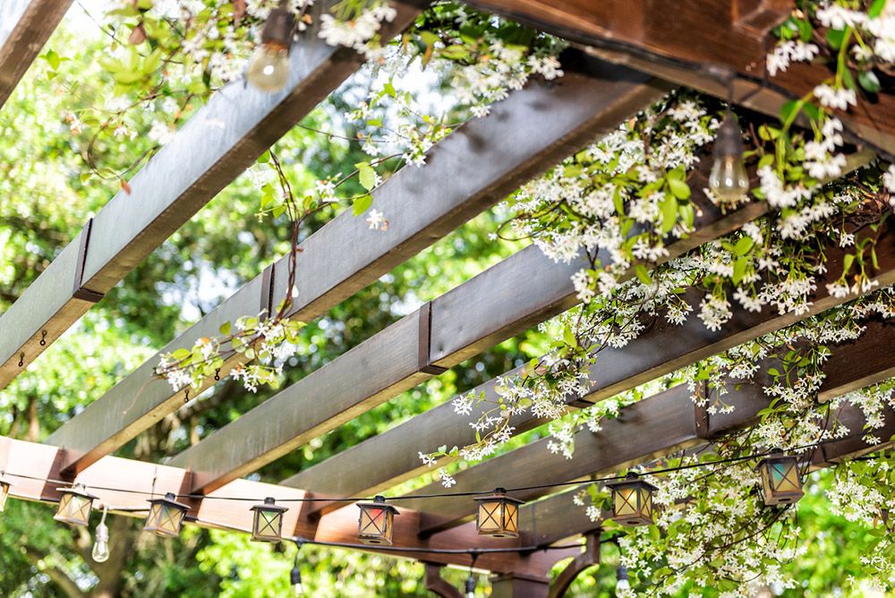 pergolas en bois