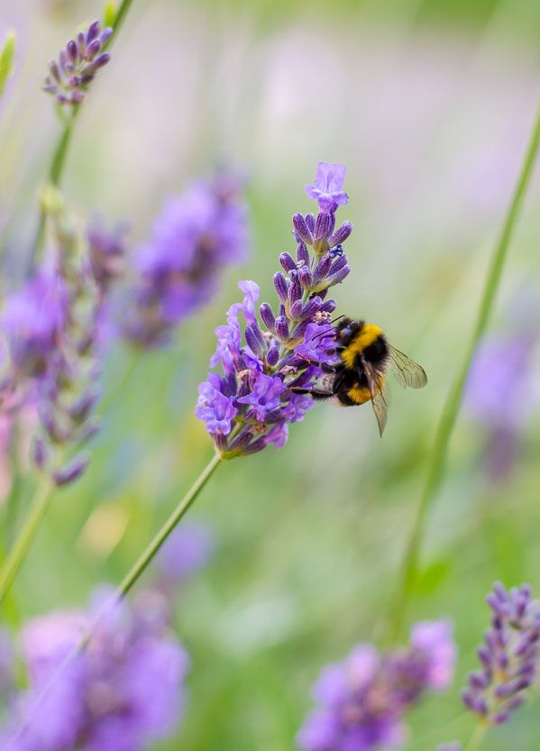 conseil du mois de septembre terre de provence