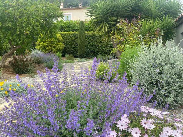 fleurs de laurier dans un jardin sec méditerranéen