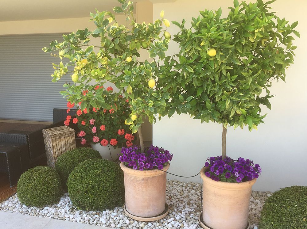 deco-cache-pots-terre-cuite-terre-de-provence