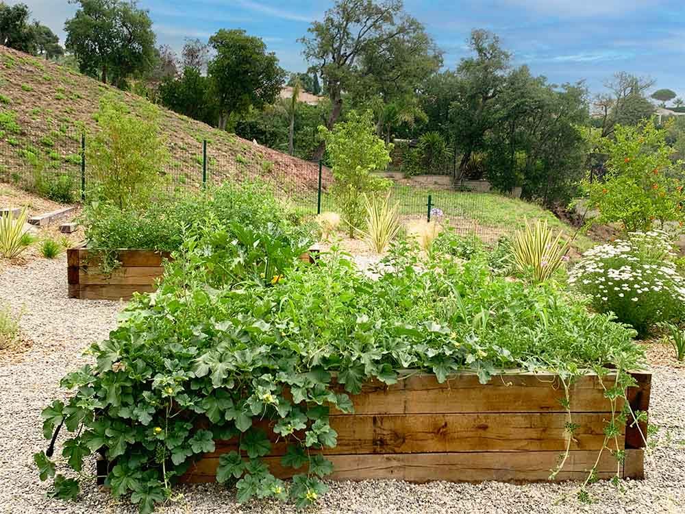 carré potager sur mesure